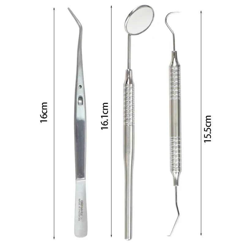 Dental Hygiene Tool Kit Instruments